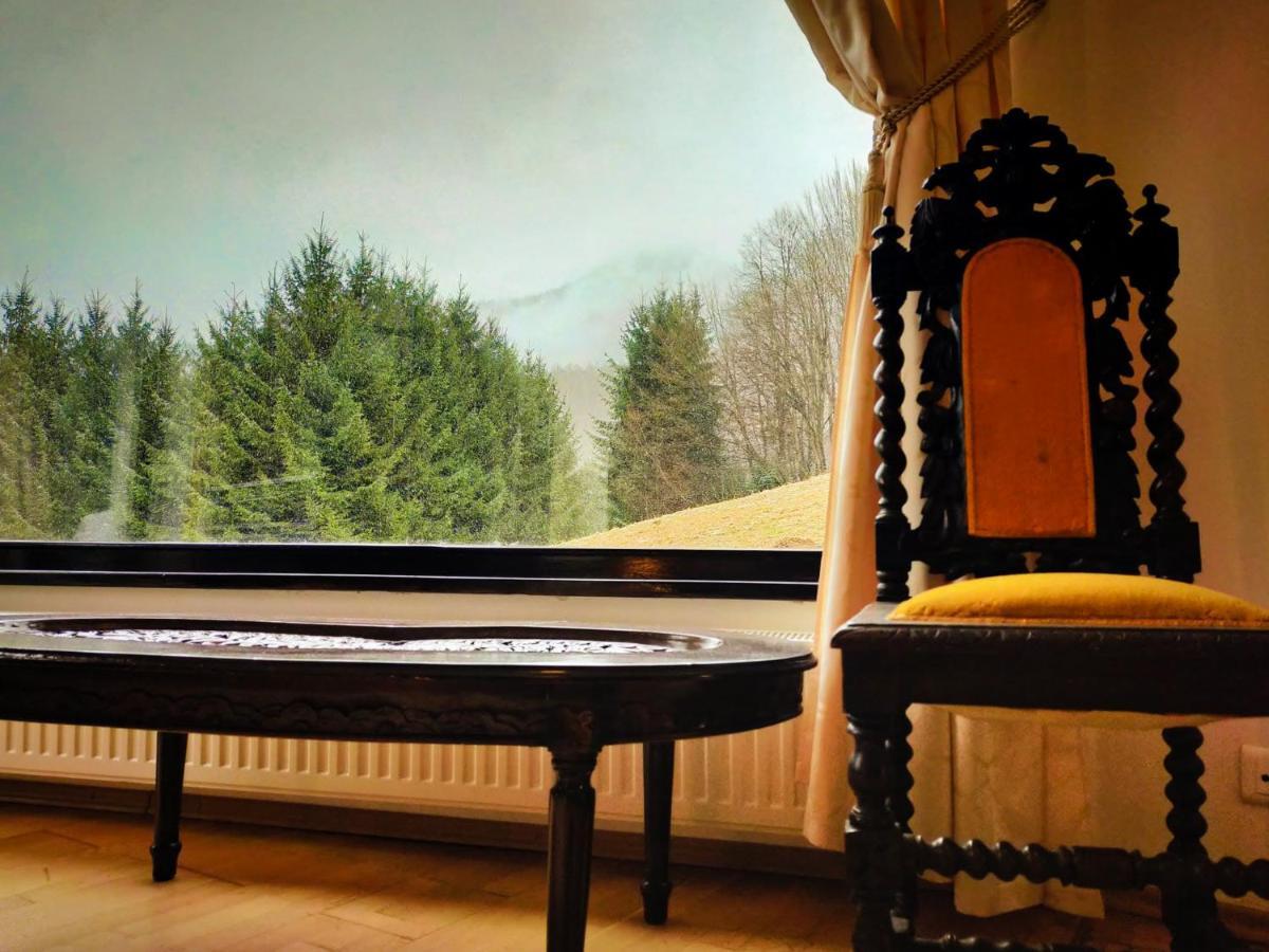Villa & Spa 4Temporadas - Plaiul Foii Zărneşti 外观 照片