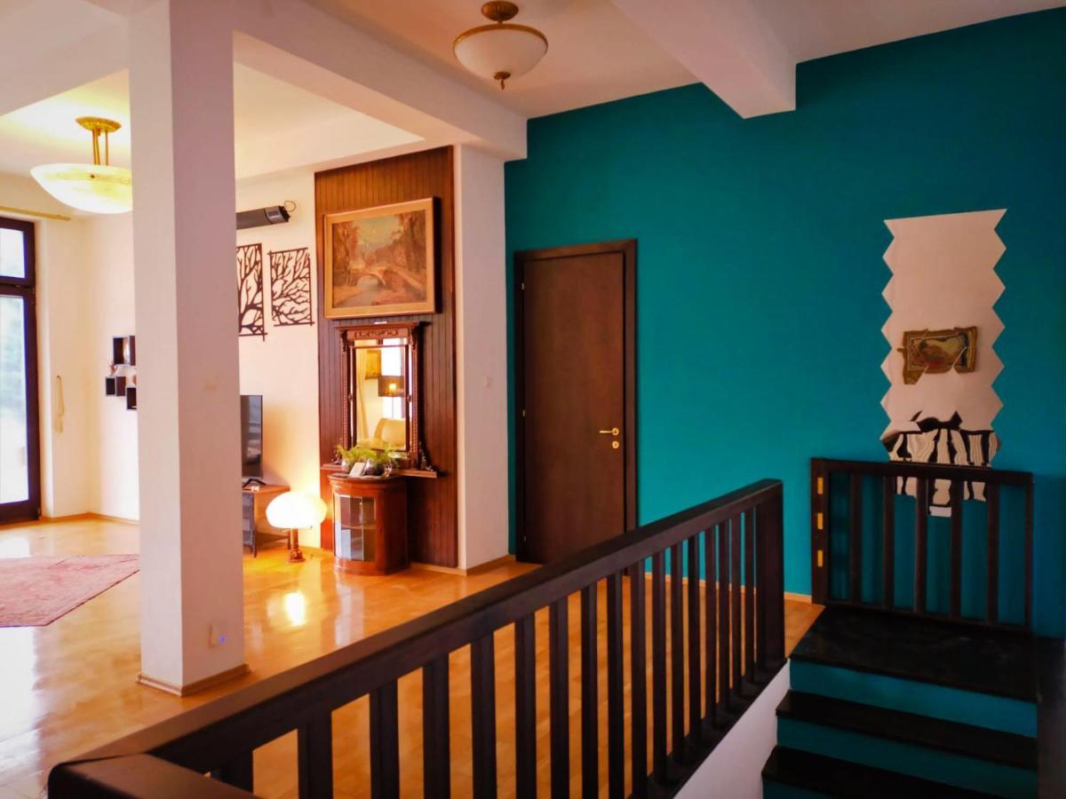 Villa & Spa 4Temporadas - Plaiul Foii Zărneşti 外观 照片